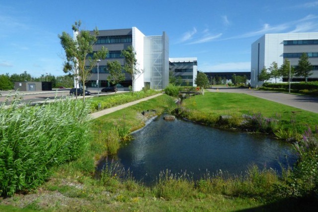 A daytime view towards a collection of buildings at Maxim Park business park in Glasgow, Scotland. A pond and green space is in the foreground, the pod feeds a stream which runs towards the blocky, modern, white and grey buildings. Image at PrimeOfficeSpace.co.uk.